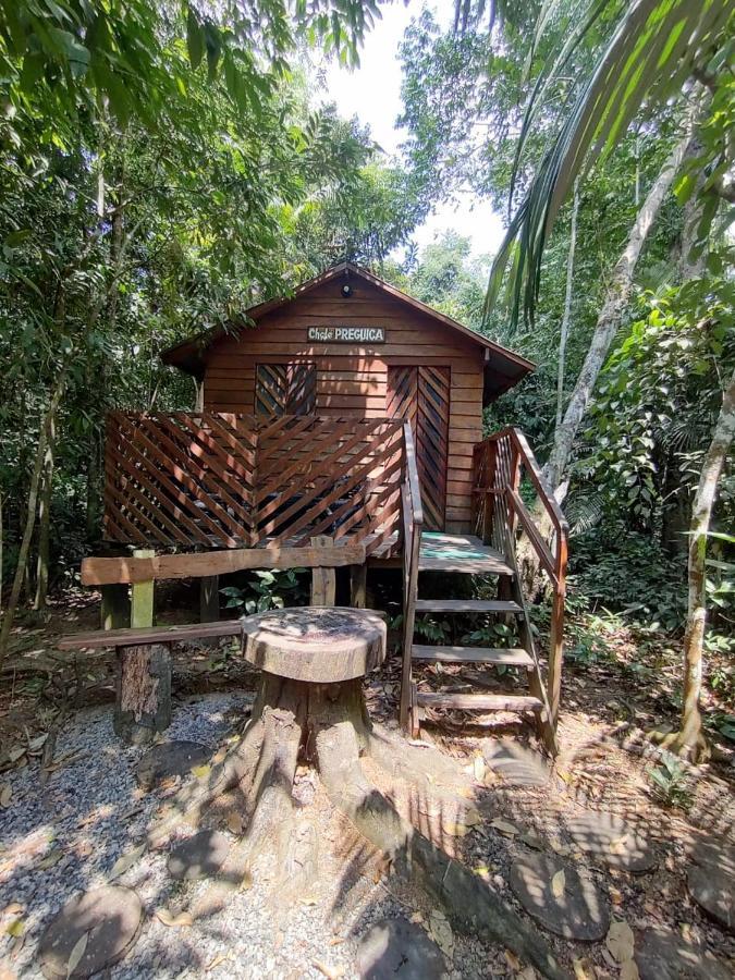 Refugio Samauma