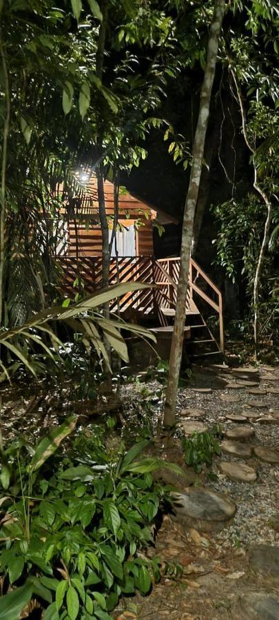 Pensão Refugio Samauma *