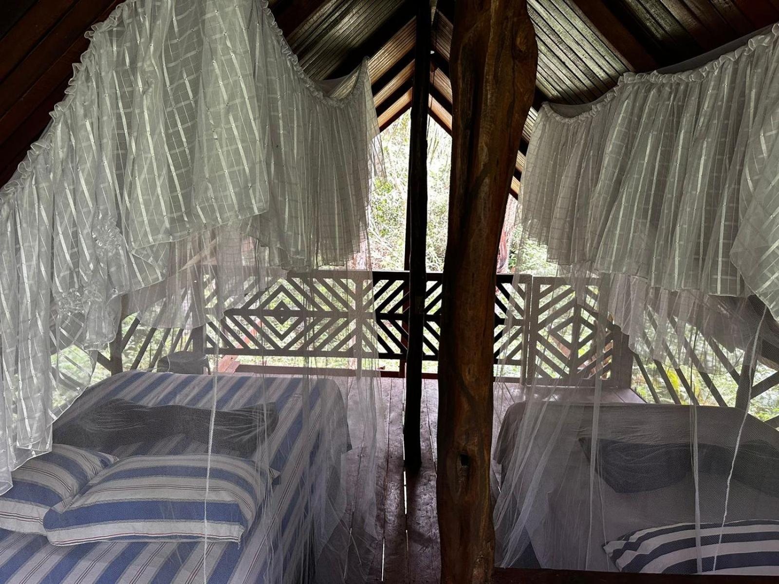 Refúgio Samauma Inn Manaos